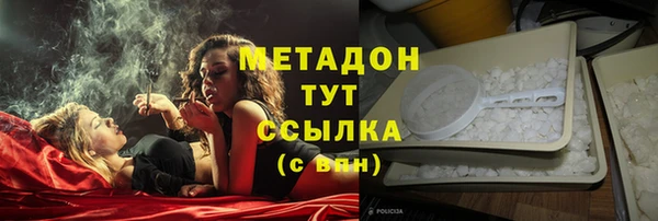 трава Белокуриха