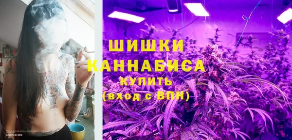 трава Белокуриха