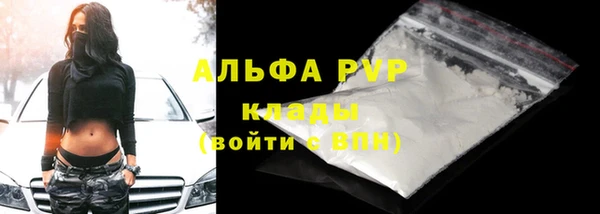 трава Белокуриха