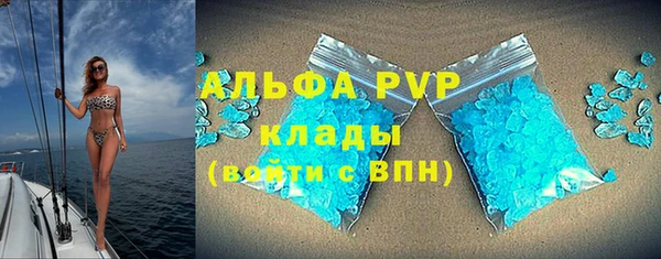 трава Белокуриха