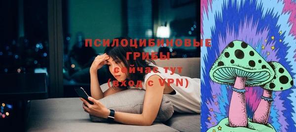 трава Белокуриха