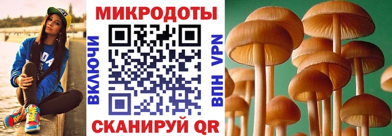 Галлюциногенные грибы Cubensis  Володарск 